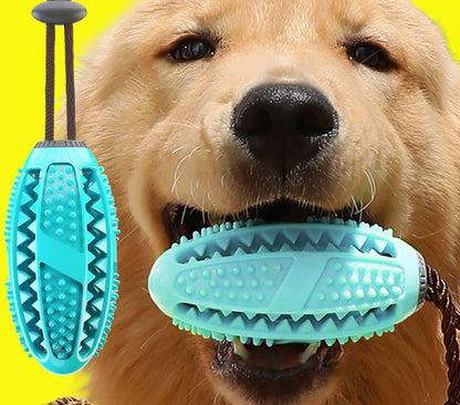 ChewPaws™ Interactive Tug & Toothbrush Ball